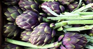 artichoke-2237845_1920